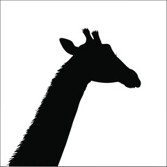 giraffe silhouette vector illustration