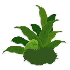 Lush green plant illustration against black background