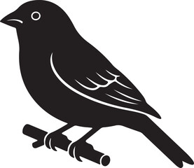 House finch vector and silhouette