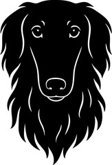Borzoi head drawn from the front with long narrow muzzle and flowing hair.