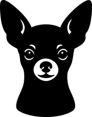 Chihuahua head front view with round eyes and small pointed ears.