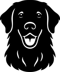 Golden Retriever face front view with joyful expression and long fur.