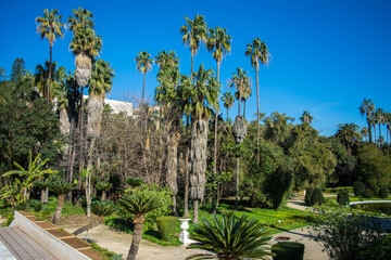Algiers - Algeria, February 22, 2016: Botanical garden El-Hamma, jardin d'essai, One of the largest and most beautiful gardens in the world, Fountain and palm trees in Botanical garden El-Hamma.