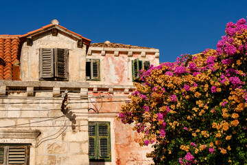 Colorful bougainvillea blooms against an old stone house in a Mediterranean village
