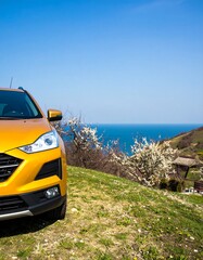 Sunny SUV overlooking the sea