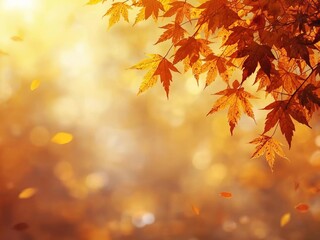 Fototapeta premium Vibrant autumn maple leaves glowing in warm sunlight with falling leaves isolated background