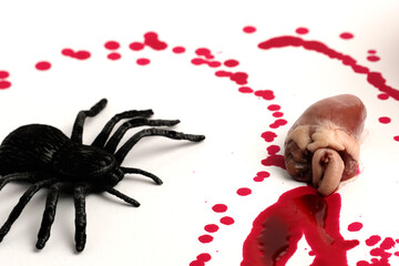 Black spider figure placed beside small organ with red blood drops on white background, creating...