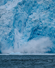Aialik Glacier face calving ice bergs into the bay with seabirds flying in front of the mountainous spray of the splash provides perspective on its size