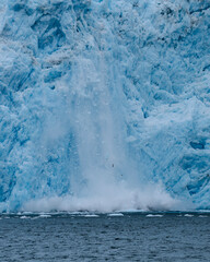 Aialik Glacier face calving ice bergs into the bay with seabirds flying in front of the mountainous spray of the splash provides perspective on its size