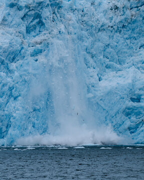 Aialik Glacier face calving ice bergs into the bay with seabirds flying in front of the mountainous spray of the splash provides perspective on its size