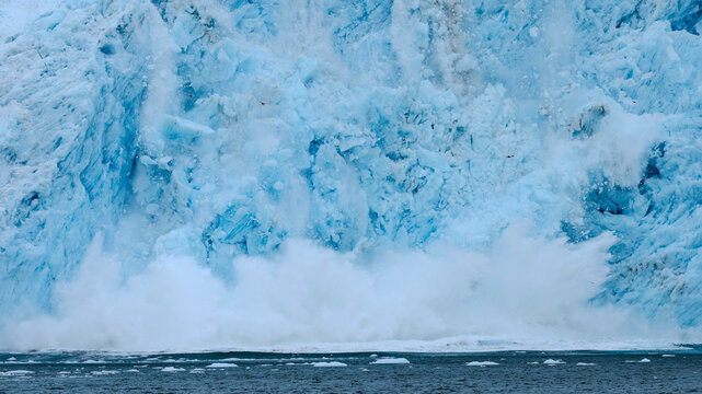 Aialik Glacier face calving ice bergs into the bay with seabirds flying in front of the mountainous spray of the splash provides perspective on its size