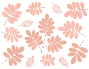 Delicate pastel pink leaves on white background