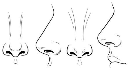 Vector art of various sketches of a nose from different angles