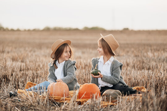 Two girls wearing hats sitting in a pumpkin field with harvested pumpkins during autumn season