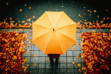 Parapluie jaune vue de dessus dans la rue, trottoir recouvert de feuille d'automne
