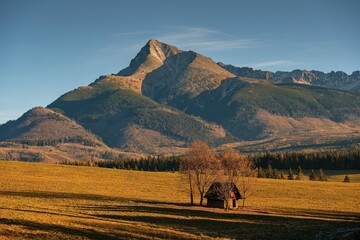 A small wooden cabin in a golden autumn meadow beneath a towering mountain peak, bathed in warm evening sunlight in a scenic wilderness landscape.
