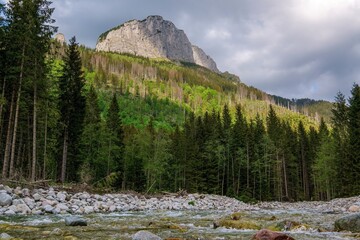 Clear mountain stream with rocky shore flowing through lush green forest beneath dramatic limestone cliffs under a moody sky. Spring or early summer landscape in pristine nature.