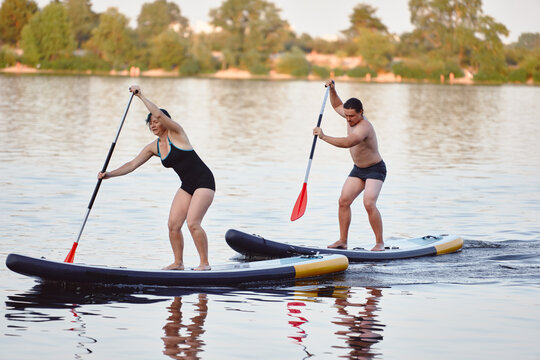 Two People Paddleboarding Together on a Serene Lake During Summer