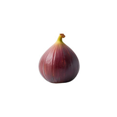 red onion isolated on white