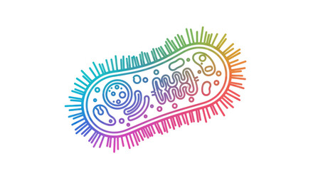 Colorful Rainbow-Outlined Bacteria Cell with Internal Structures.