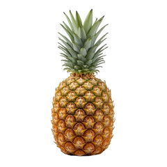 Fototapeta premium pineapple on white background