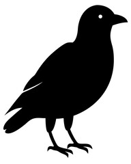 Minimal black bird silhouette vector illustration isolated for digital design and creative projects