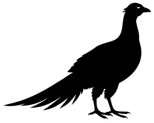 pheasant long tail silhouette vector illustration on transparent background for wildlife and bird design projects