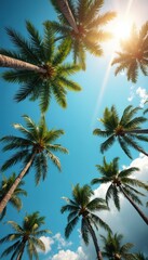 Fototapeta premium Green palm tree fronds reach towards a bright sunny sky. Tropical foliage and blue sky with clouds create a beautiful summer vacation scene.