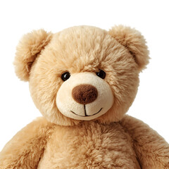 teddy bear isolated on white