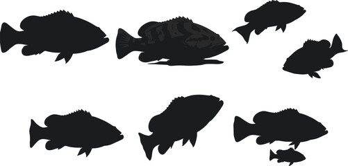 Fish silhouette, size comparison, black illustration, aquatic sketch, nature pose, marine concept, minimal design, anatomy study