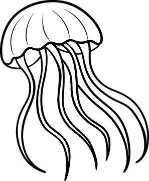 vector illustration of a Jeli fish