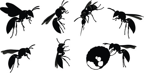 Wasp silhouette, insect anatomy, black vector art, flying wasp, nest behavior, nature sketch, entomology reference