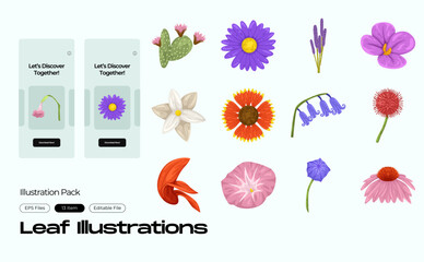 Flower Illustration Set : spring, summer, and autumn