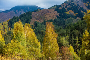 autumn landscape in the mountains