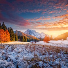 Evening landscape with beautiful natural winter snow, gorgeous and wild in autumn colors 