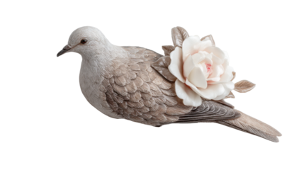 Peace Dove with White Rose Flower Symbol of Love and Spirituality on white Background