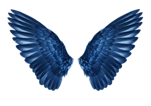 Blue bird wings isolated PNG, angel wings for graphic design and fantasy art