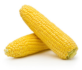 Two ear of corn peeled isolated on white background