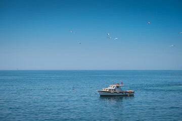 Fototapete bei efototapeten.de bestellen   