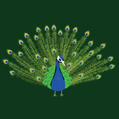 Beautiful and detailed illustration of a peacock with decorative feathers on a dark green background. Perfect for print, textiles, cards, posters and digital projects.