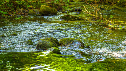 Eau qui court au milieu des rochers et des forêts de montagne dans le sud de la France sur la commune d’Esposolla
Water running among rocks and mountain forests in the south of France in the commune o