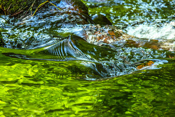 Eau qui court au milieu des rochers et des forêts de montagne dans le sud de la France sur la commune d’Esposolla
Water running among rocks and mountain forests in the south of France in the commune o