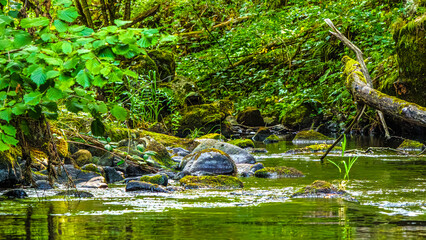 Eau qui court au milieu des rochers et des forêts de montagne dans le sud de la France sur la commune d’Esposolla
Water running among rocks and mountain forests in the south of France in the commune o