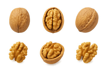 Walnut clipart set with whole nuts, half shells, and kernels, showing realistic textures for food, cooking, and healthy diet projects.