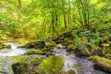 Eau qui court au milieu des rochers et des for&ecirc;ts de montagne dans le sud de la France sur la commune d&rsquo;Esposolla
Water running among rocks and mountain forests in the south of France in the commune o