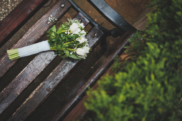 flowers in the garden