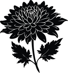 Chrysanthemum Flower Silhouette | Decorative Floral Vector Design