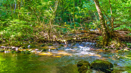 Eau qui court au milieu des rochers et des forêts de montagne dans le sud de la France sur la commune d’Esposolla
Water running among rocks and mountain forests in the south of France in the commune o