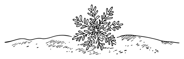 vector snowflake illustration on snow surface