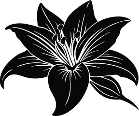 Lily Silhouette | Elegant Floral Vector Illustration